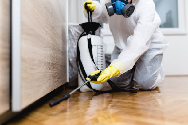 Best Termite Control Services  in De Leon, TX