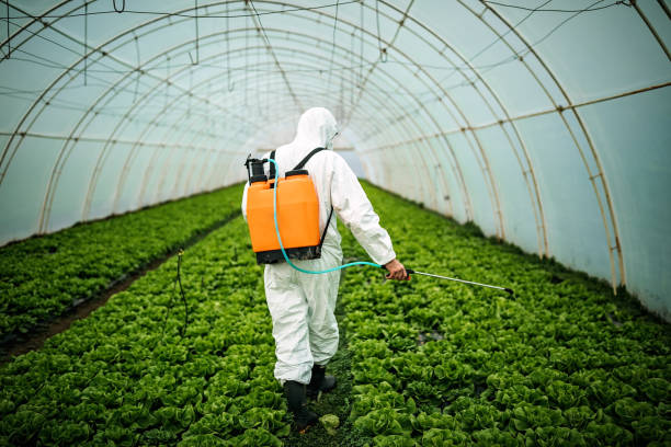 Best Pest Inspection Near Me  in De Leon, TX