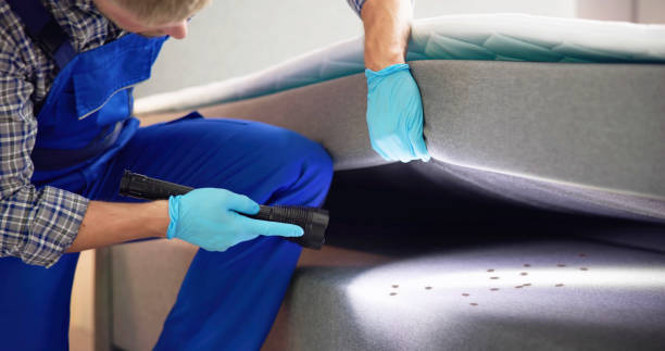 Best Commercial Pest Control Services  in De Leon, TX