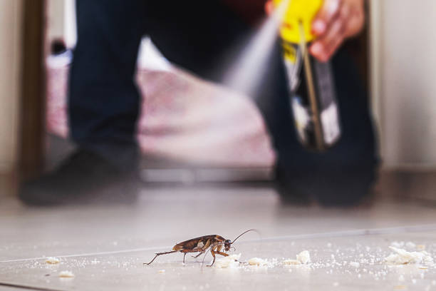 Best Exterminator Services  in De Leon, TX