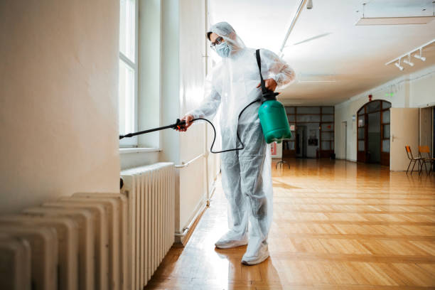 Best Mosquito Control Services  in De Leon, TX